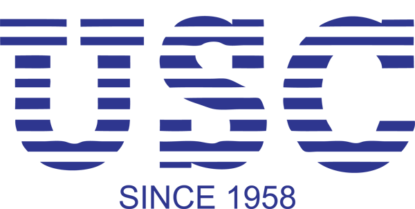 Sky f IT Logo
